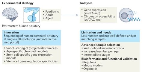 Nature Reviews Endocrinology On Twitter News Views Emma Laporte