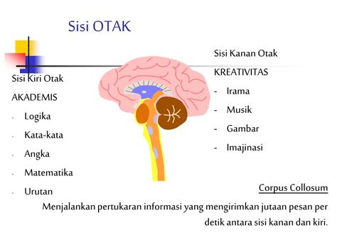 Ppt Otak Kita Powerpoint Presentation Free Download Id 4546465