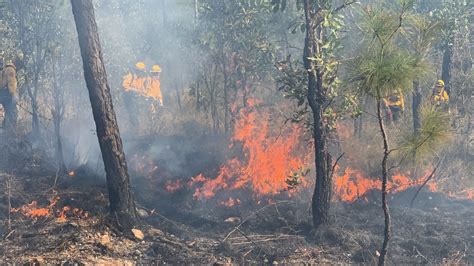 Se Registran En Guerrero 29 Incendios Forestales Según Reporte De La