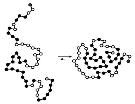 1: Pictorial description of globular protein folding. The left part ...