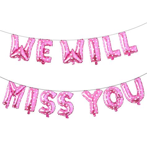 Buy Farewell Party Decorations Supplies We Will Miss You Balloon Banner ...