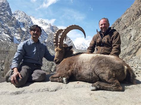 Himalayan Ibex | Turkish Frontier