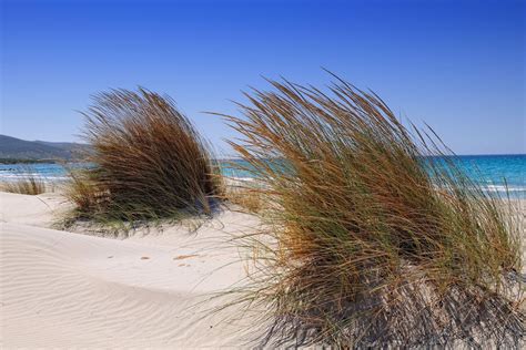 Vacanze A Porto Pino Cosa Vedere E Spiagge Pi Belle Dei Caraibi Del