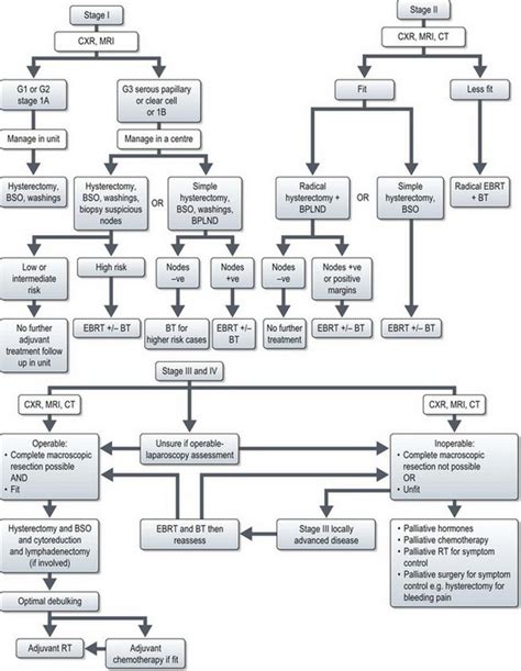 Cancers Of The Female Genital System Oncohema Key