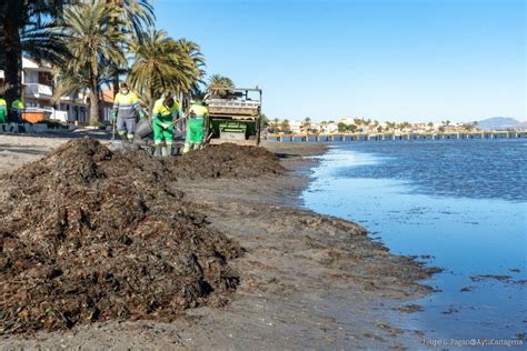 Cartagena El Ayuntamiento Activa Un Nuevo Programa De Mantenimiento