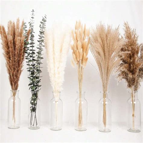 Pcs Natural Dried Pampas Grass For Bathroom Office And Baby Shower