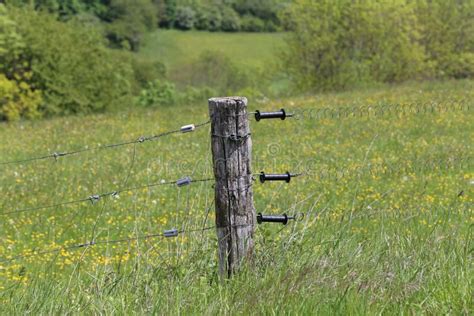 Cattle Gate with an Electric Fence at a Pasture between Oerlinghausen ...