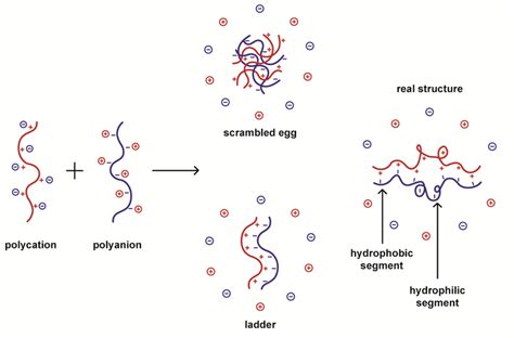 The structure of polyelectrolyte complexes. Scrambled egg and ladder ...