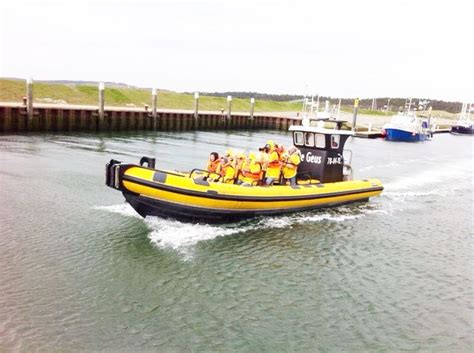 Beleef Een Unieke Ervaring Op Het Was Tijdens Een Zeehondentocht