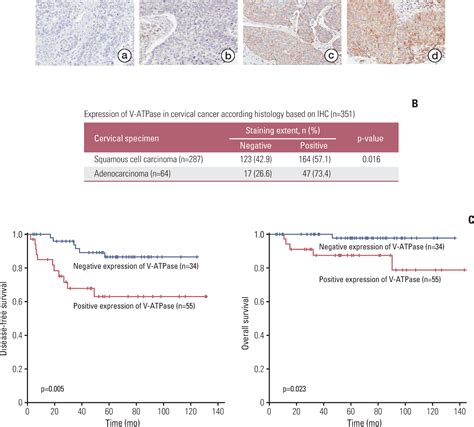 Figure From Proton Pump Inhibition Enhances The Cytotoxicity Of