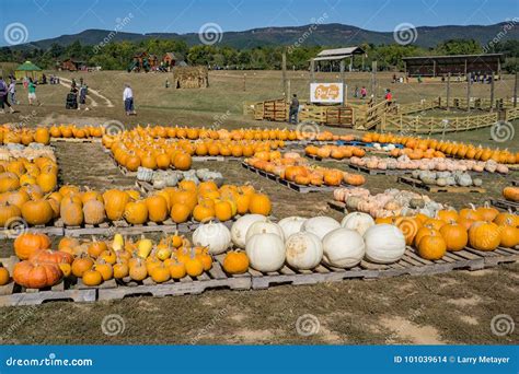 Annual Fall Festival editorial stock image. Image of celebrations ...