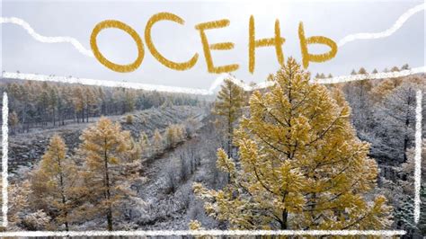 Осень. Первый снег. - YouTube