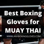 Best Boxing Gloves 2023 Buying Guide June Update