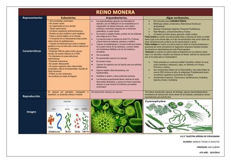 Cuadro Comparativo Representantes Eubacterias Arqueobacterias Algas