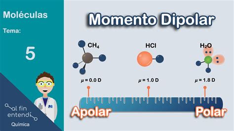 Cómo determinar la POLARIDAD de las moléculas YouTube