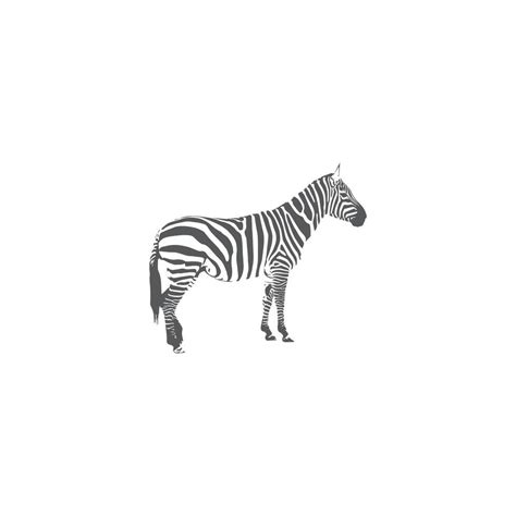 Zebra Logo Design Inspiration. Zebra logo on white background 38478191 Vector Art at Vecteezy