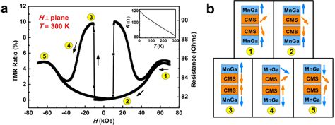 A Room Temperature TMR Behavior For MnGa Co 2 MnSi MgO Co 2 MnSi MnGa