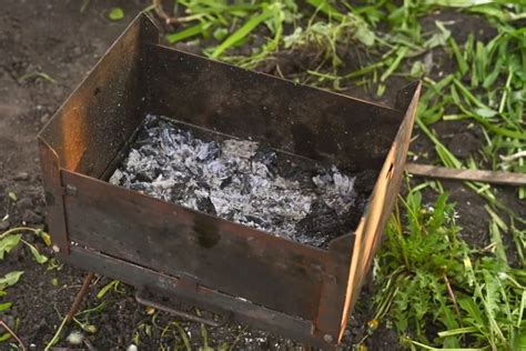 Comment Utiliser Les Cendres De Bois Au Jardin Sans Risque