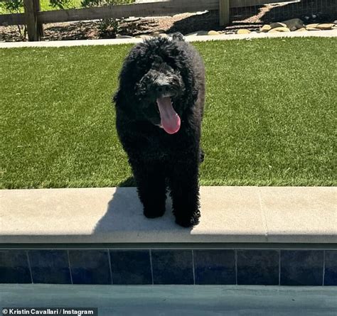 Kristin Cavallari Shows Off Her Incredible Figure And Washboard Abs In Tiny White Bikini