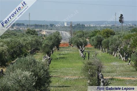 Ferrovie It Rfi Bari Taranto Attivata La Variante Di Modugno