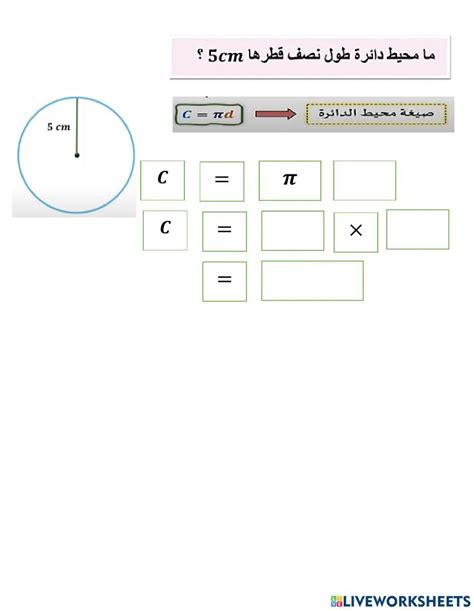 ورقة عمل تفاعلية محيط الدائرة 1 Online Exercise For Live Worksheets