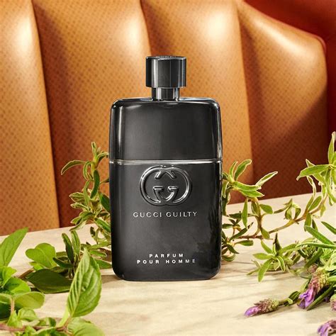 N C Hoa Gucci Guilty Pour Homme Parfum Namperfume