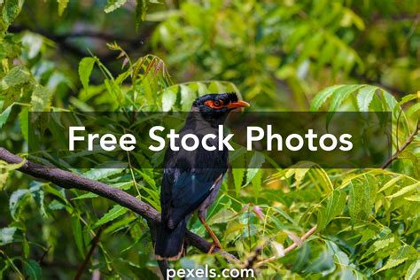 List Of Programmes Broadcast By Nickelodeon (India) Photos, Download ...