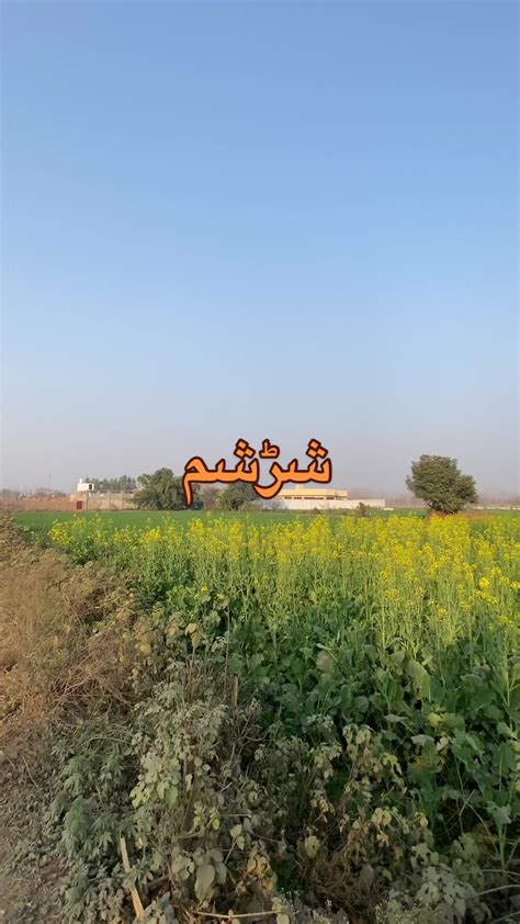 slamon kdrmndosng km   instabeautyofswabi pakhtoonjanan