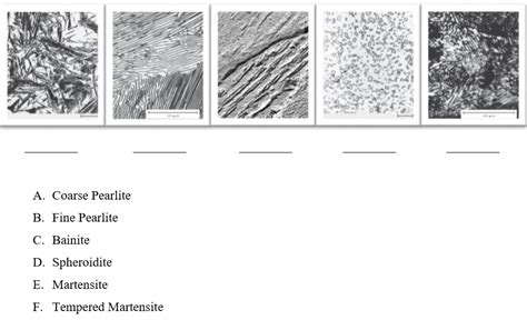 Solved Match the micrograph images with the name of the | Chegg.com
