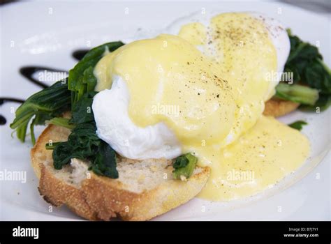 Eggs Florentine Poached Eggs On A Bed Of Steamed Spinach On Toasted