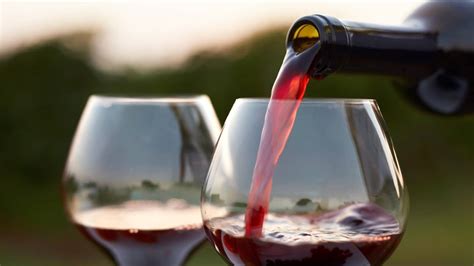 Learn to Choose a Good Red Wine - Florida Independent