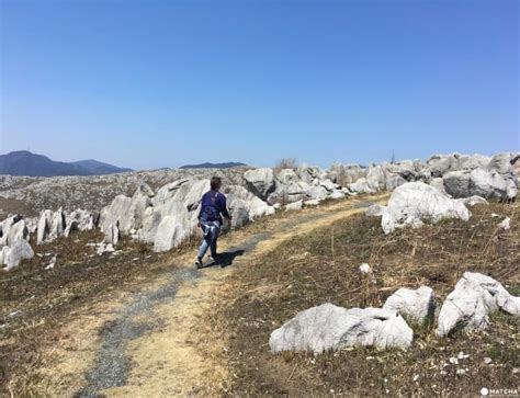 Akiyoshidai Plateau - A Breathtaking Karst Landscape In Yamaguchi | MATCHA - JAPAN TRAVEL WEB ...