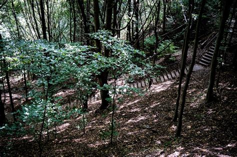 Poenari Castle: The Real Castle Dracula and Ghost Stories - Amy's Crypt