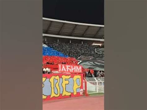 crvena zvezda zenit youtube