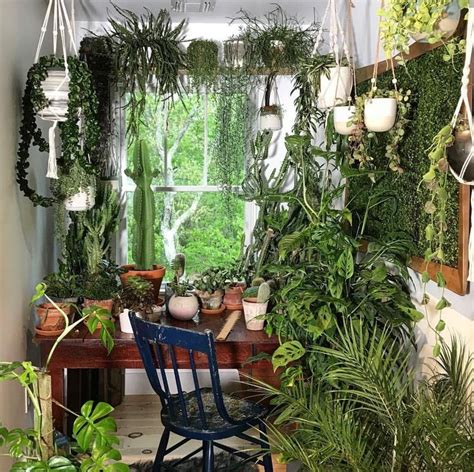 Pin By Barbara B On Jungalows House Plants Indoor Apartment Garden