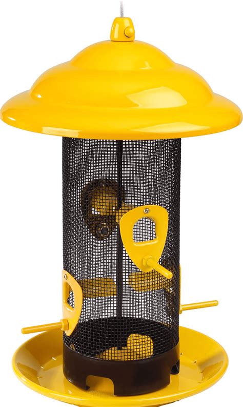 10 Types of Bird Feeders You Need in Your Backyard