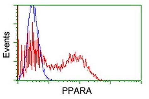 Ppara Monoclonal Antibody Oti G Truemab Origene L