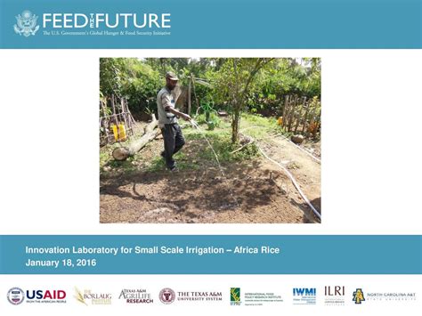 Innovation Laboratory For Small Scale Irrigation Africa Rice Ppt