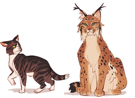 Pin By Ace On Warrior Cats Warrior Cats Art Warrior Cat Drawings