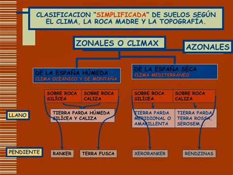 De Revolutionibus Geo Historia Los Suelos Y La Vegetaci N Natural