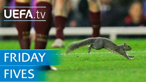 Dogs Cats And Squirrels On The Pitch 5 Animal Pitch Invaders Youtube