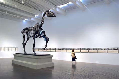 Why Art Fails to Make a Difference on Its Own: More Thoughts on Hans ...