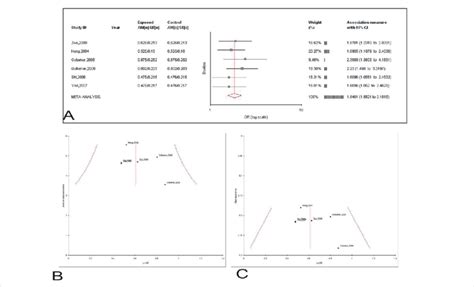 A Forest Plots For The Association Between MTHFR C677T Polymorphism