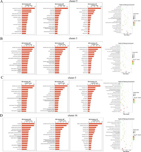 Gene Set Enrichment Analysis Reveals Dysregulated Pathways In Ptus