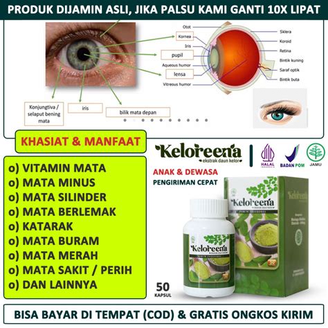 Jual Vitamin Mata Buram Obat Mata Minus Dan Silinder Plus Katarak Mata