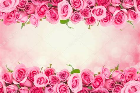 Border Of Beautiful Fresh Sweet Pink Rose For Love Romantic Valentine