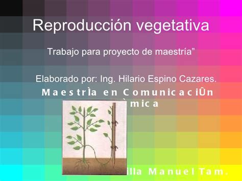 Reproduccion Vegetativa