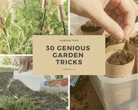 Easy Gardening Tricks
