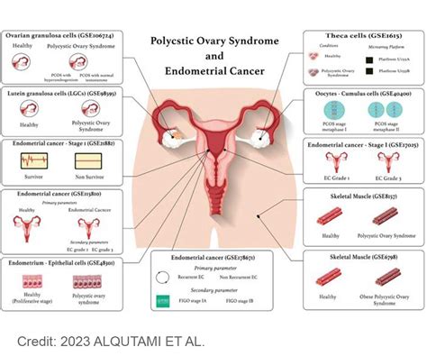 Detecting Cancer Early In Slides Using Artificial Intelligence Ai