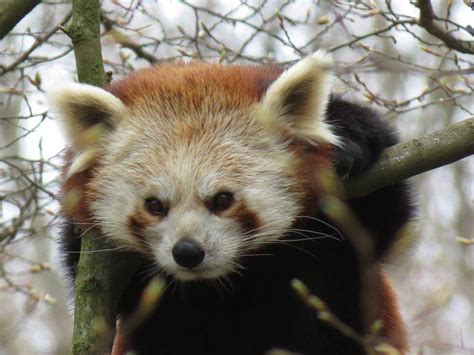 Local destination Nuremberg Zoo in Nuremberg - DOATRIP.de
